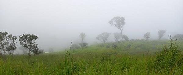Bamena dans la brume