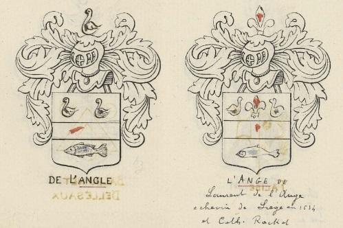 Delange ou de l ang l e a liege petit armor liegeois