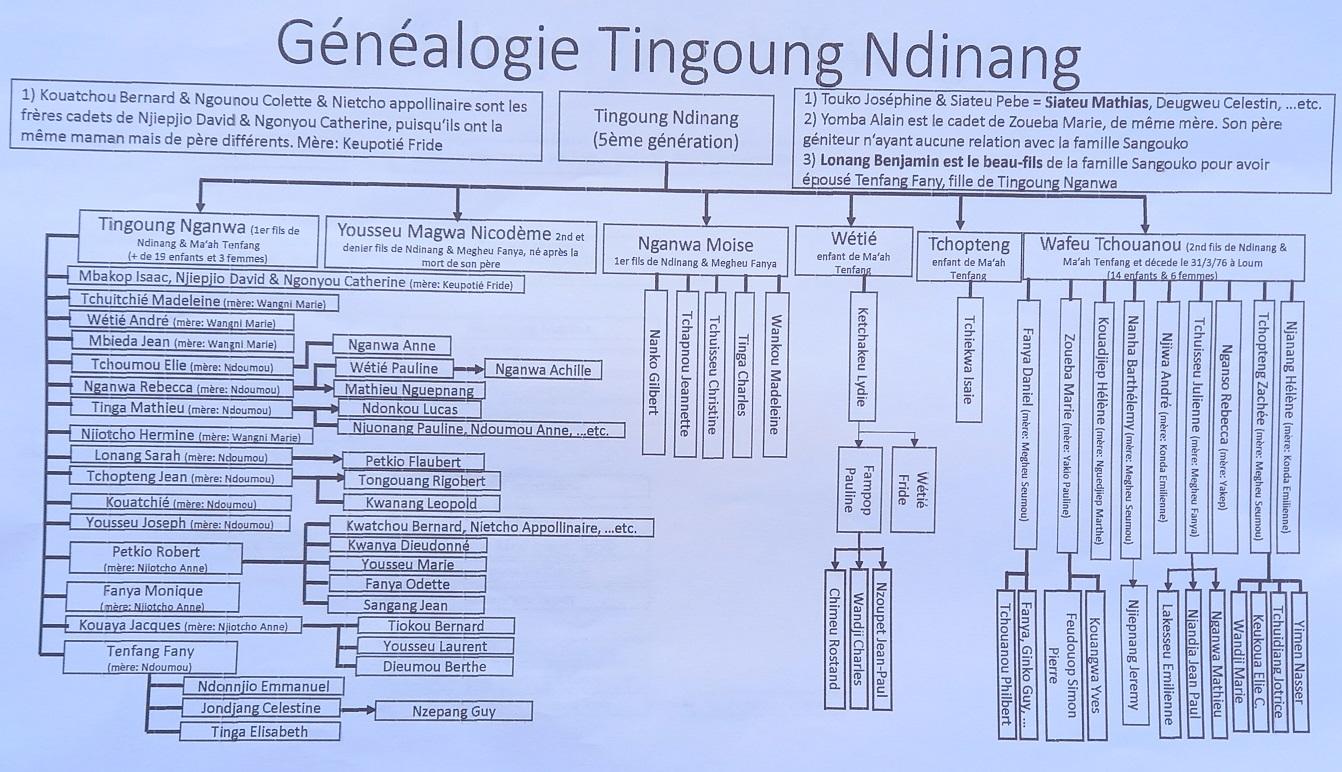 Genealogie complete tingoung ndinang
