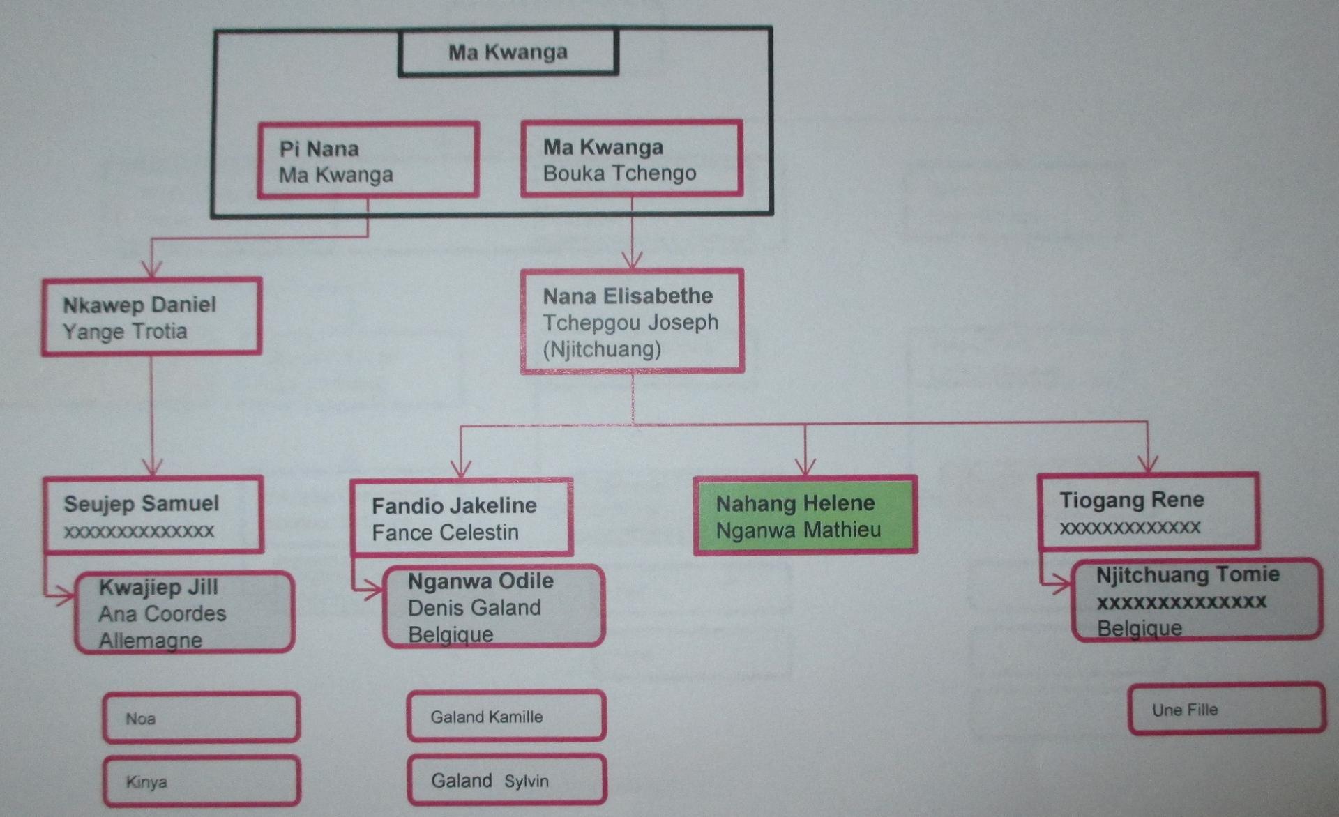 Genealogie ma kwanga