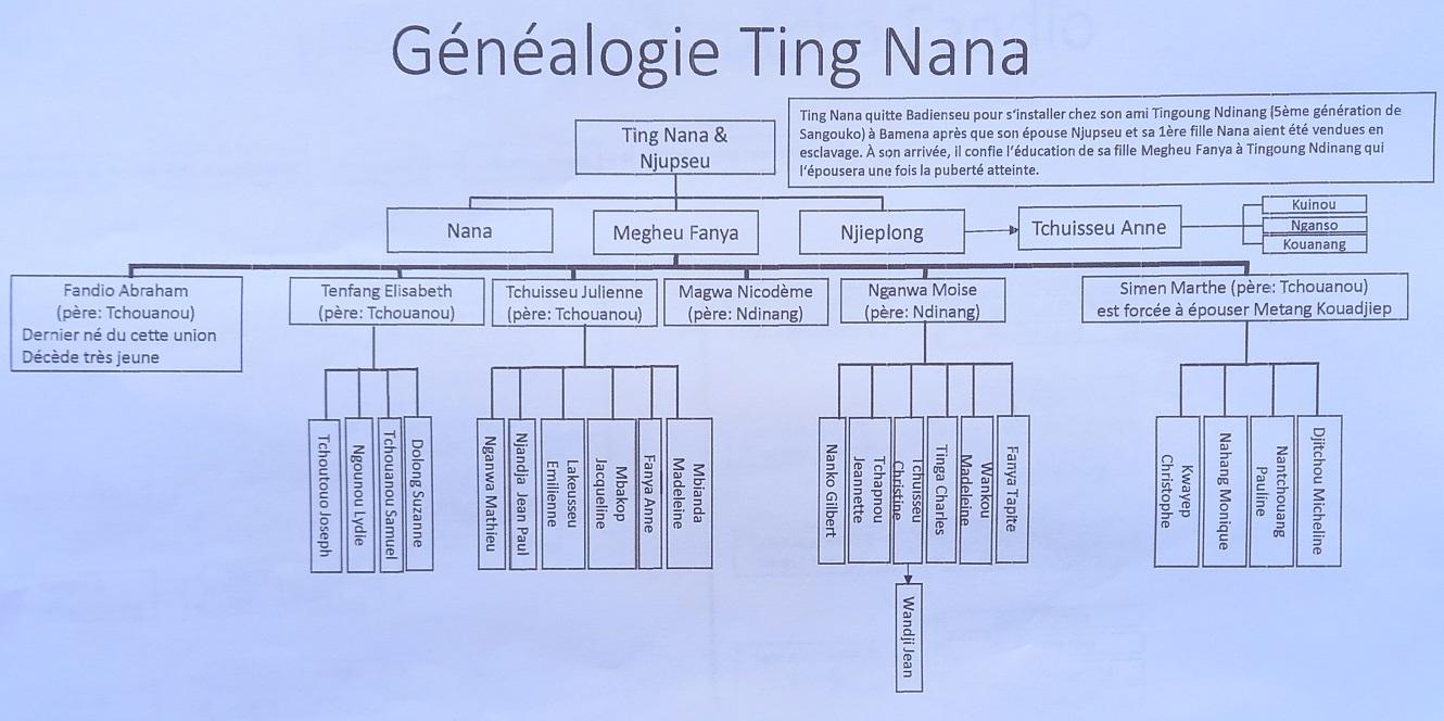 Genealogie pater maternelle ting nana
