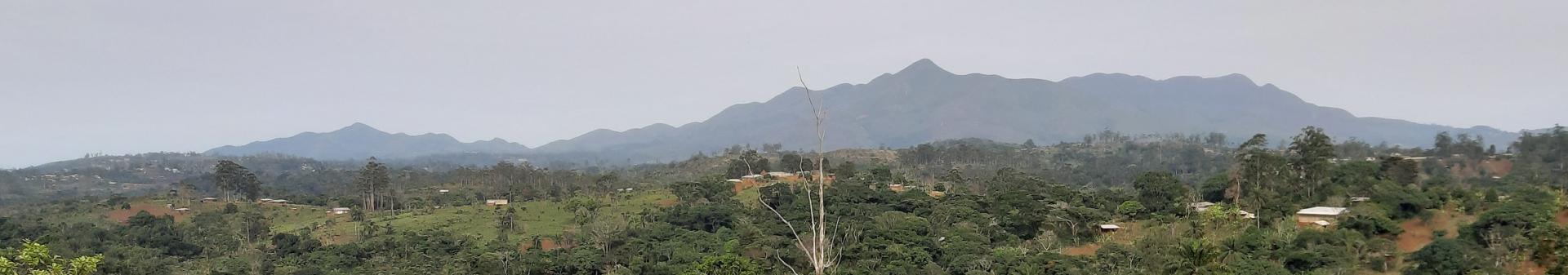 Panorama batchingou